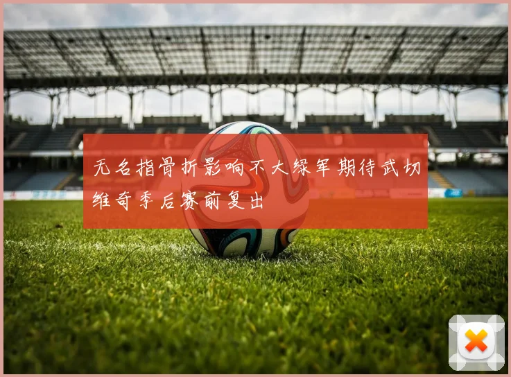 无名指骨折影响不大绿军期待武切维奇季后赛前复出