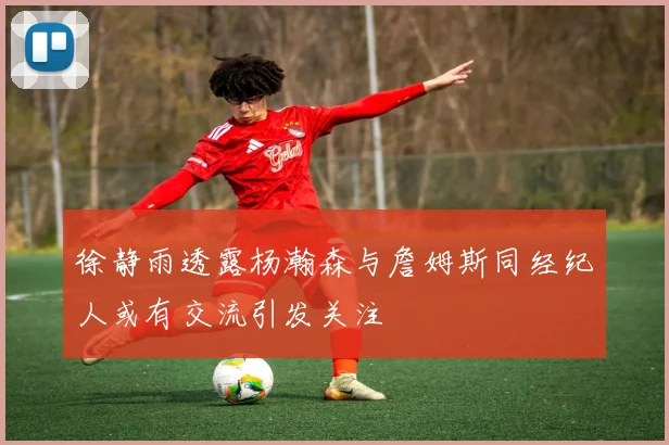 徐静雨透露杨瀚森与詹姆斯同经纪人或有交流引发关注